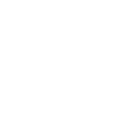 Rome Hosting Group Logo